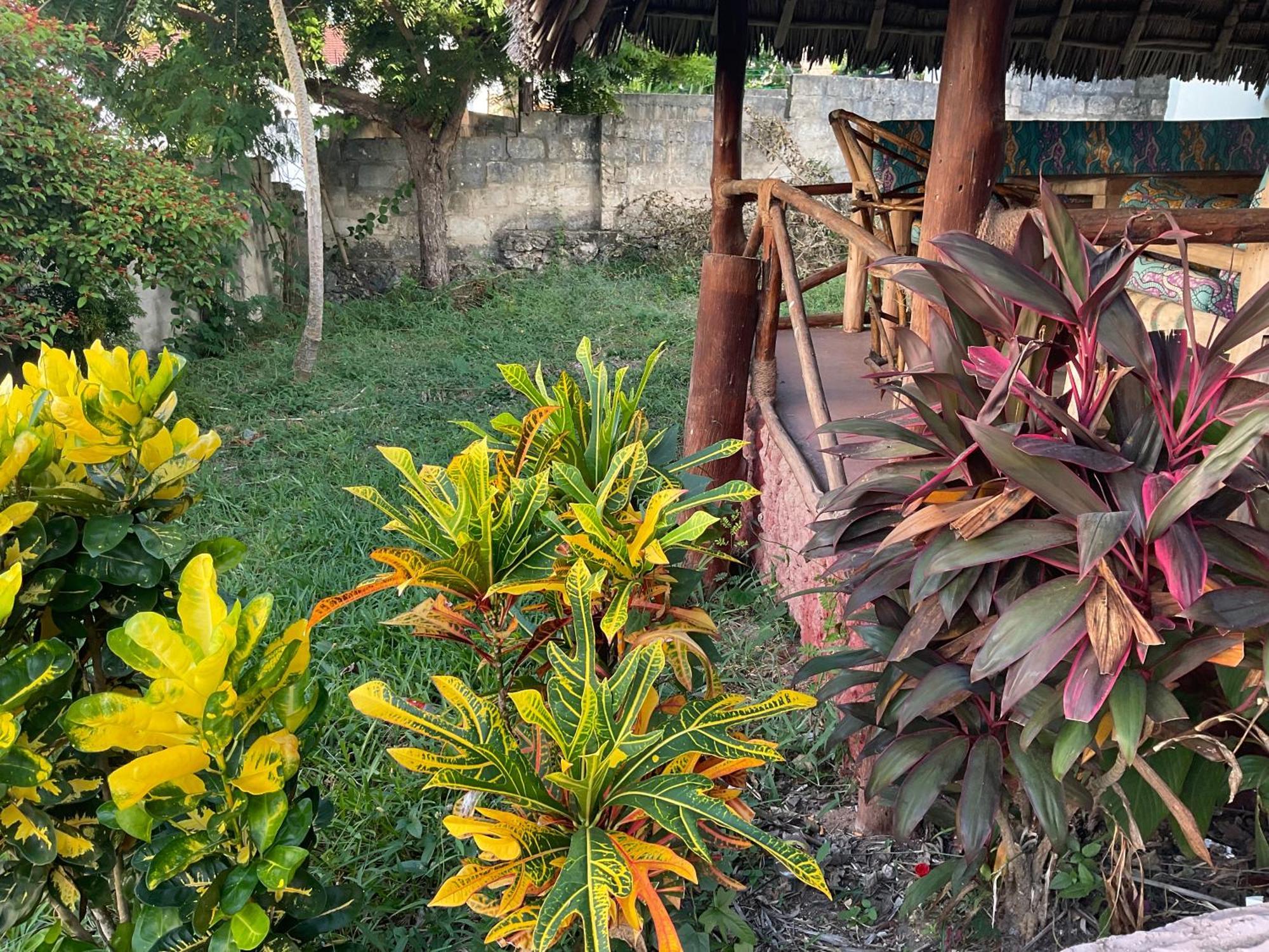 Zanzi Rest Bungalow Nungwi Exterior foto