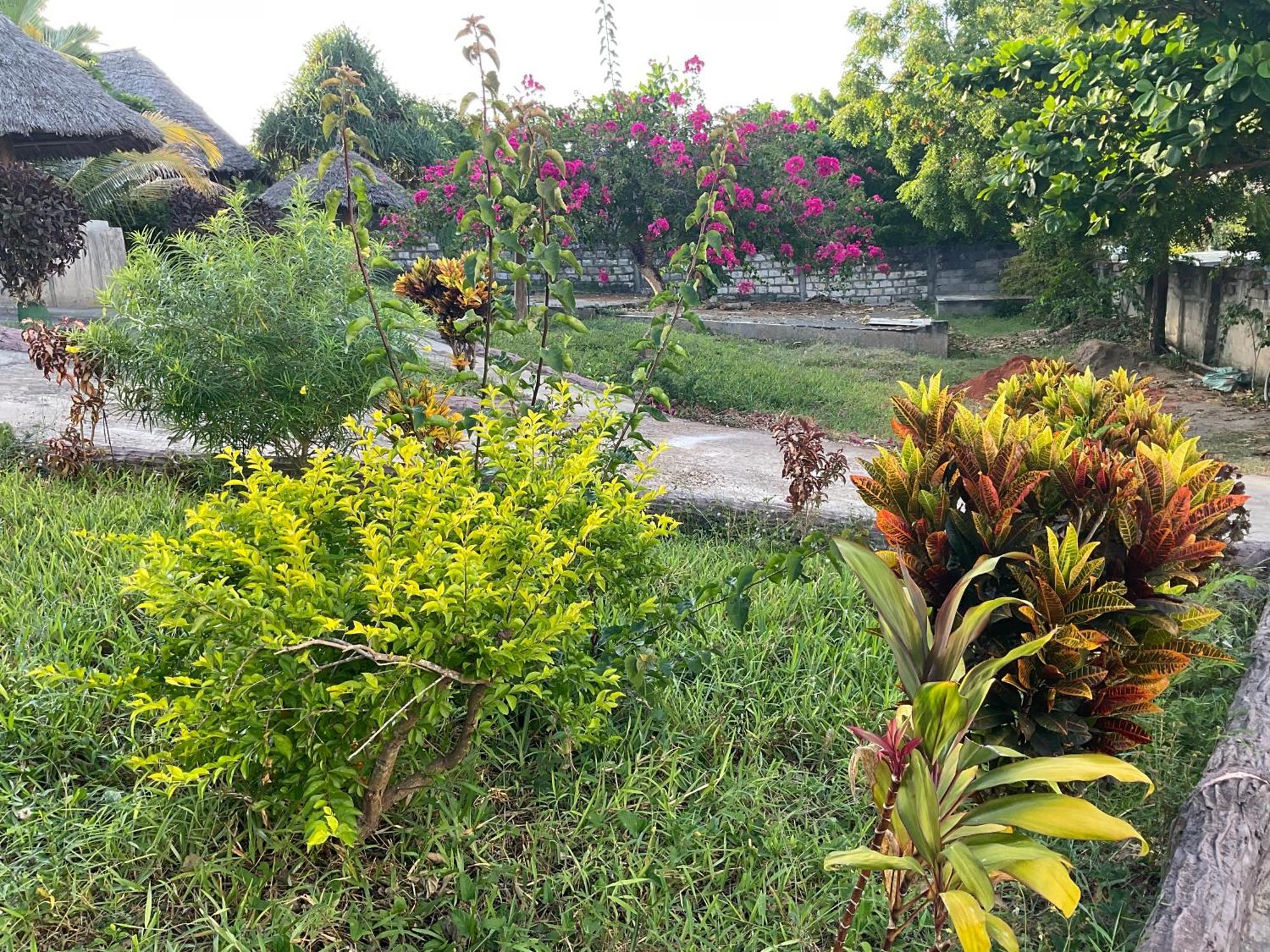 Zanzi Rest Bungalow Nungwi Exterior foto