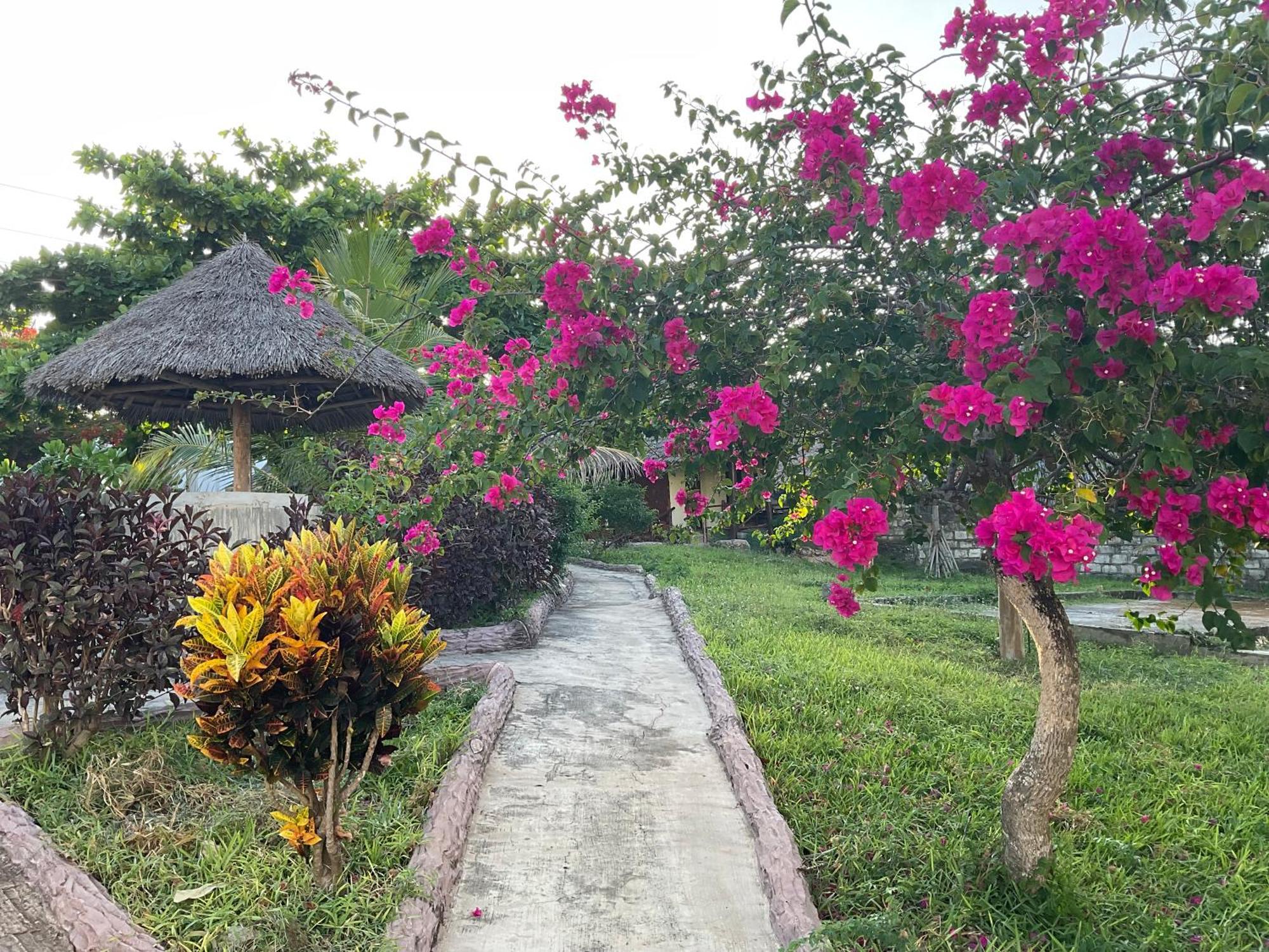 Zanzi Rest Bungalow Nungwi Exterior foto
