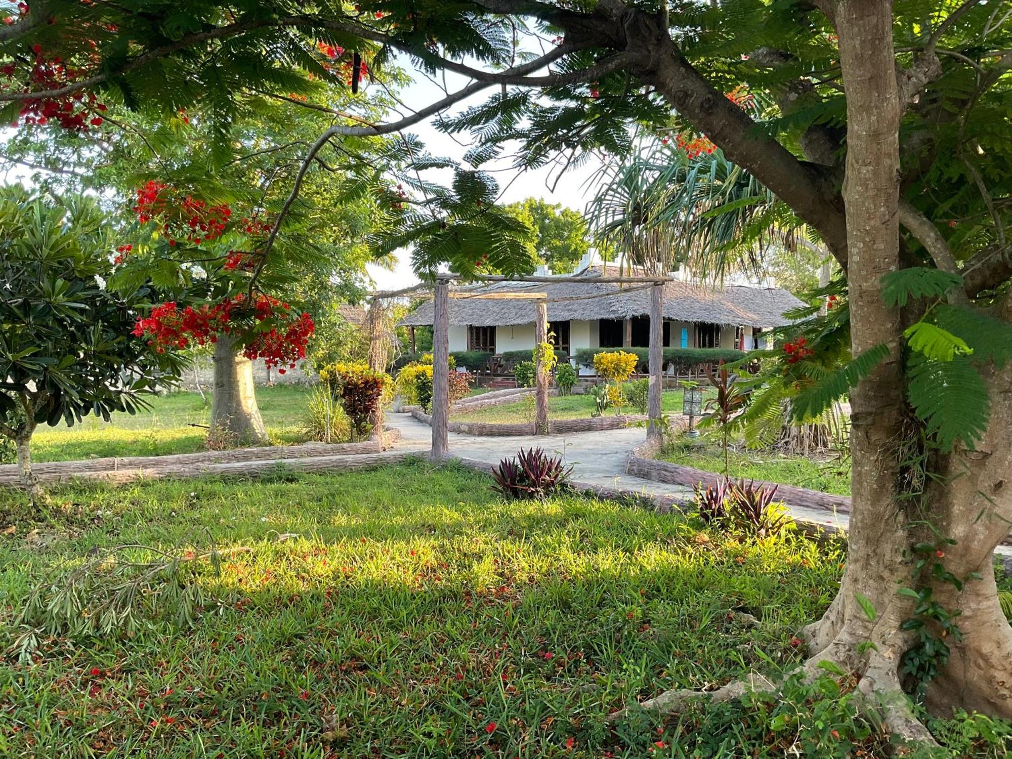 Zanzi Rest Bungalow Nungwi Exterior foto