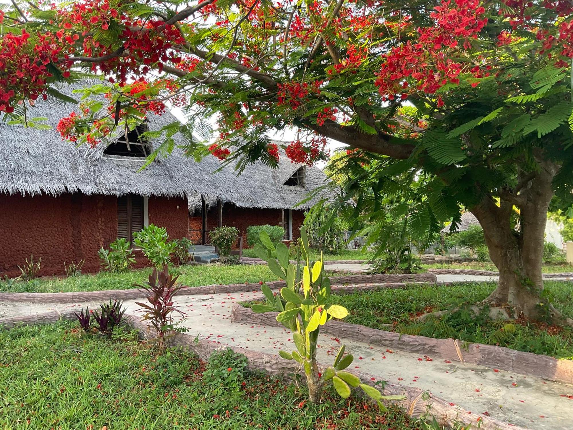 Zanzi Rest Bungalow Nungwi Exterior foto