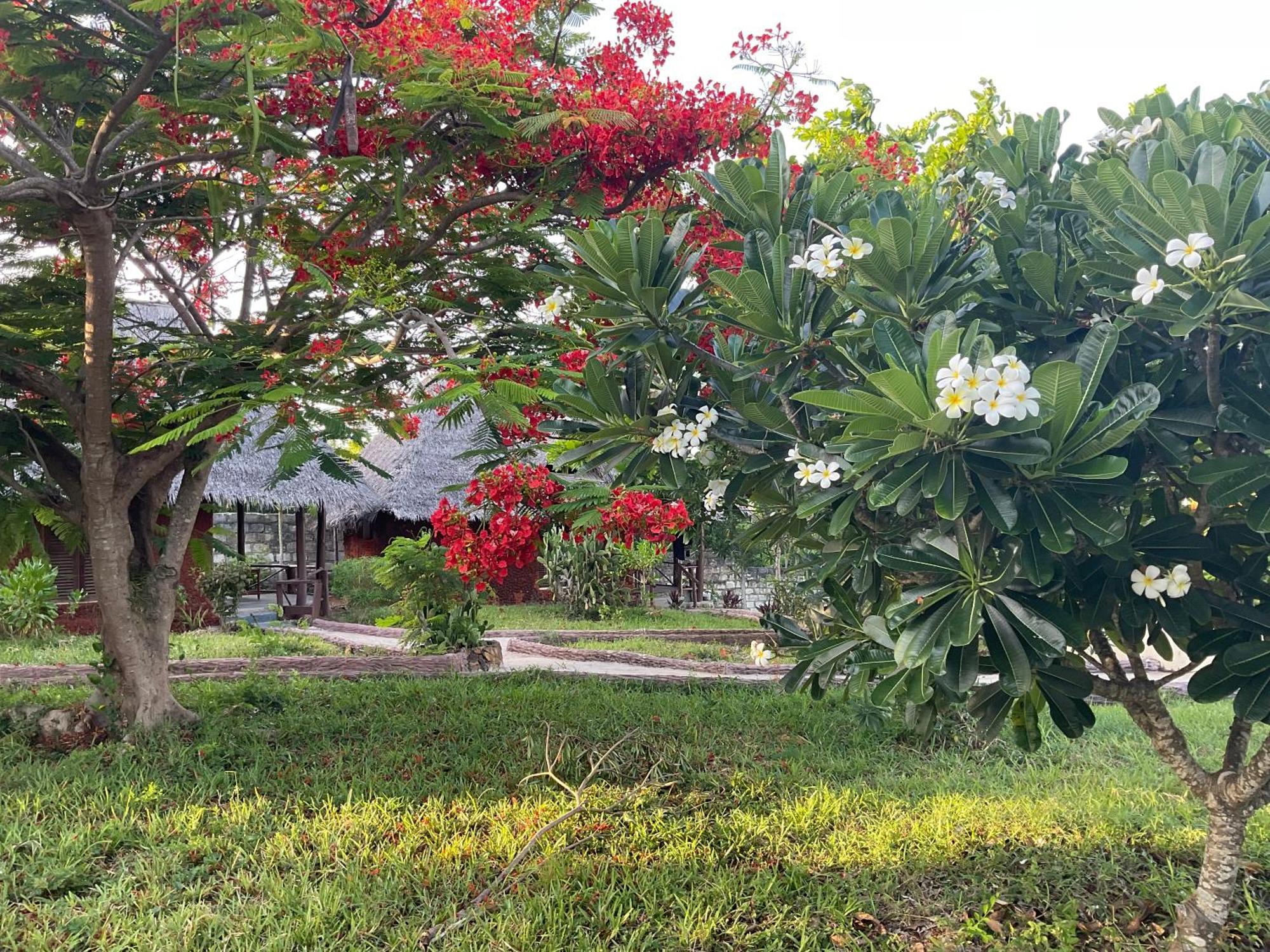 Zanzi Rest Bungalow Nungwi Exterior foto