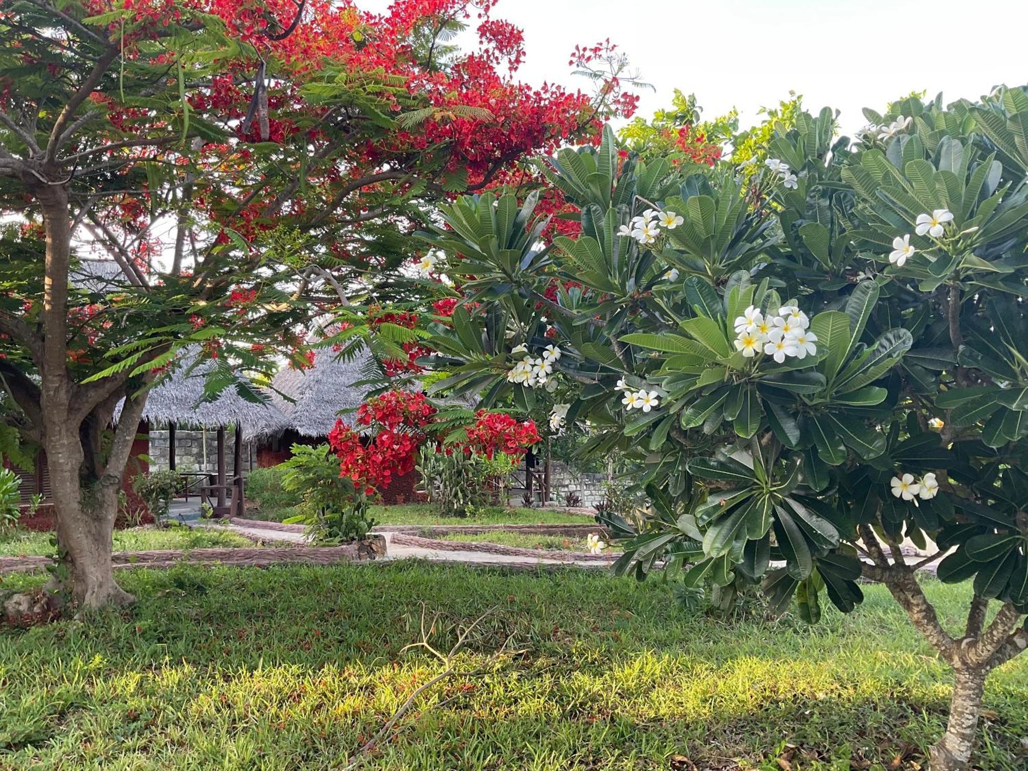 Zanzi Rest Bungalow Nungwi Exterior foto