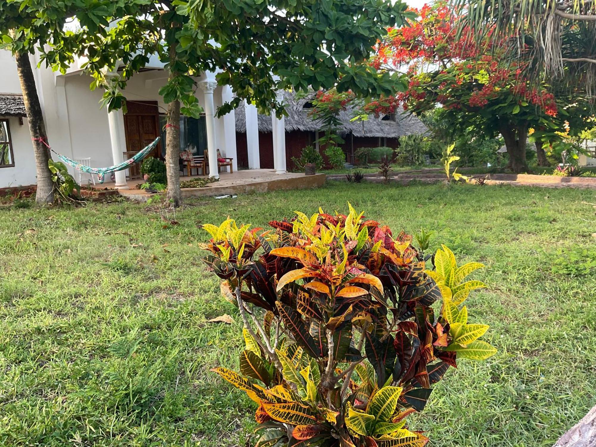 Zanzi Rest Bungalow Nungwi Exterior foto