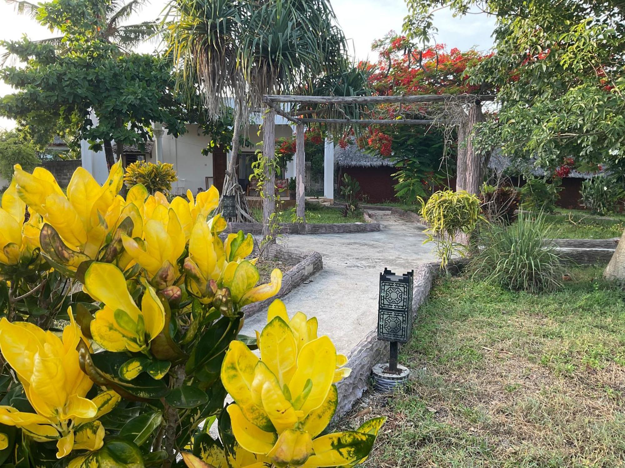Zanzi Rest Bungalow Nungwi Exterior foto