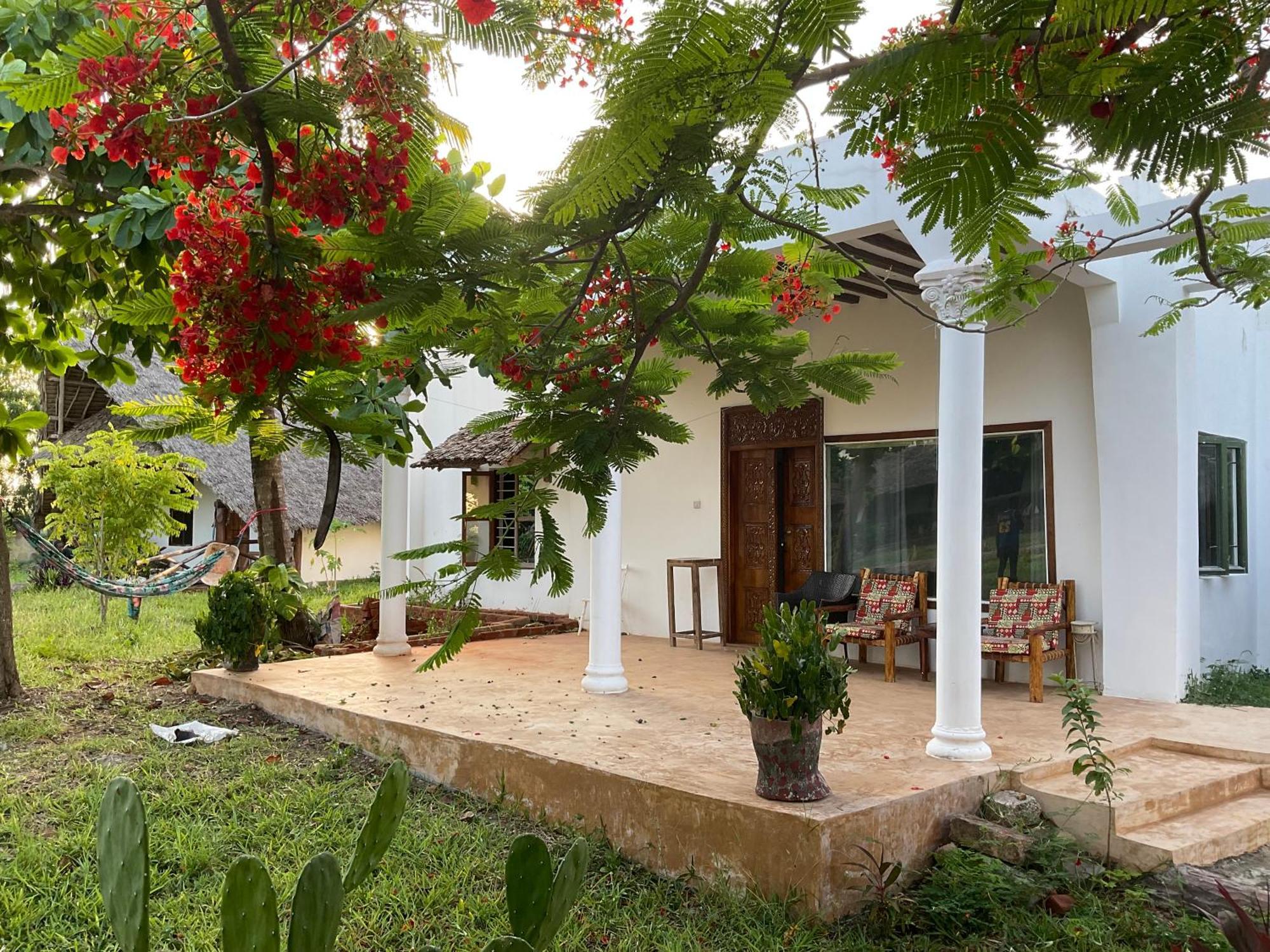 Zanzi Rest Bungalow Nungwi Exterior foto