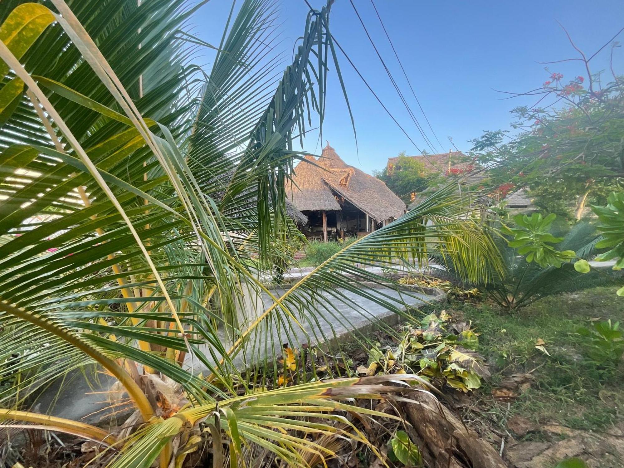 Zanzi Rest Bungalow Nungwi Exterior foto
