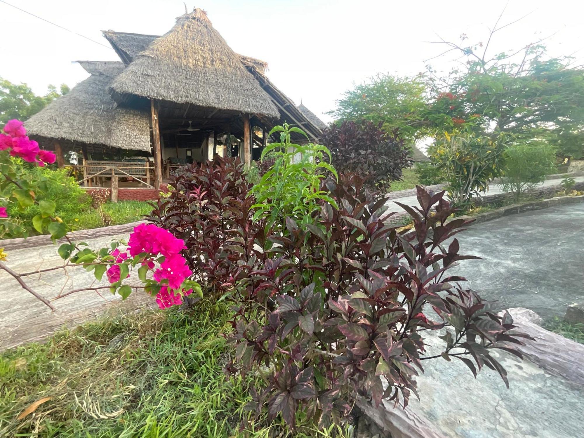 Zanzi Rest Bungalow Nungwi Exterior foto