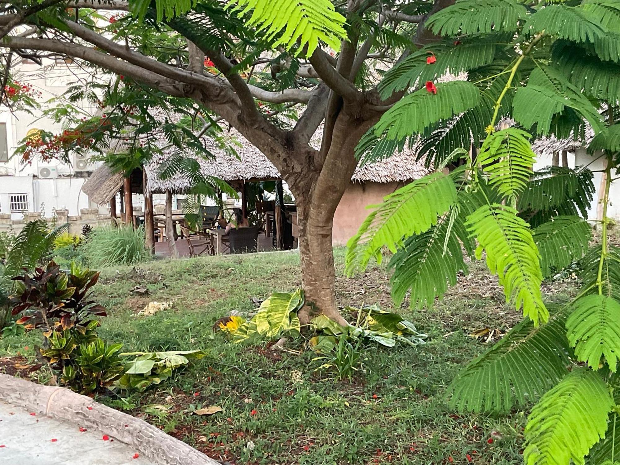 Zanzi Rest Bungalow Nungwi Exterior foto