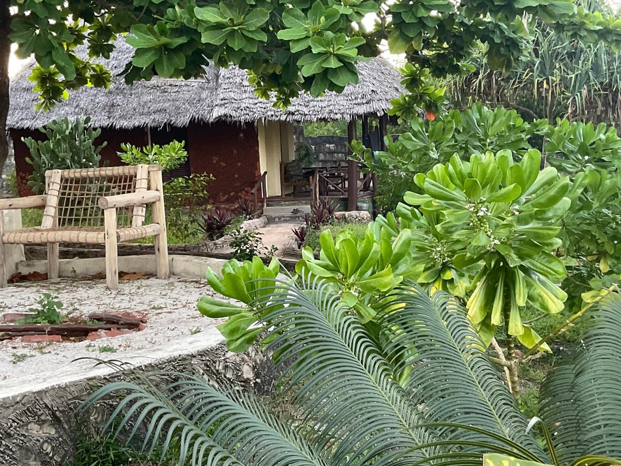 Zanzi Rest Bungalow Nungwi Exterior foto