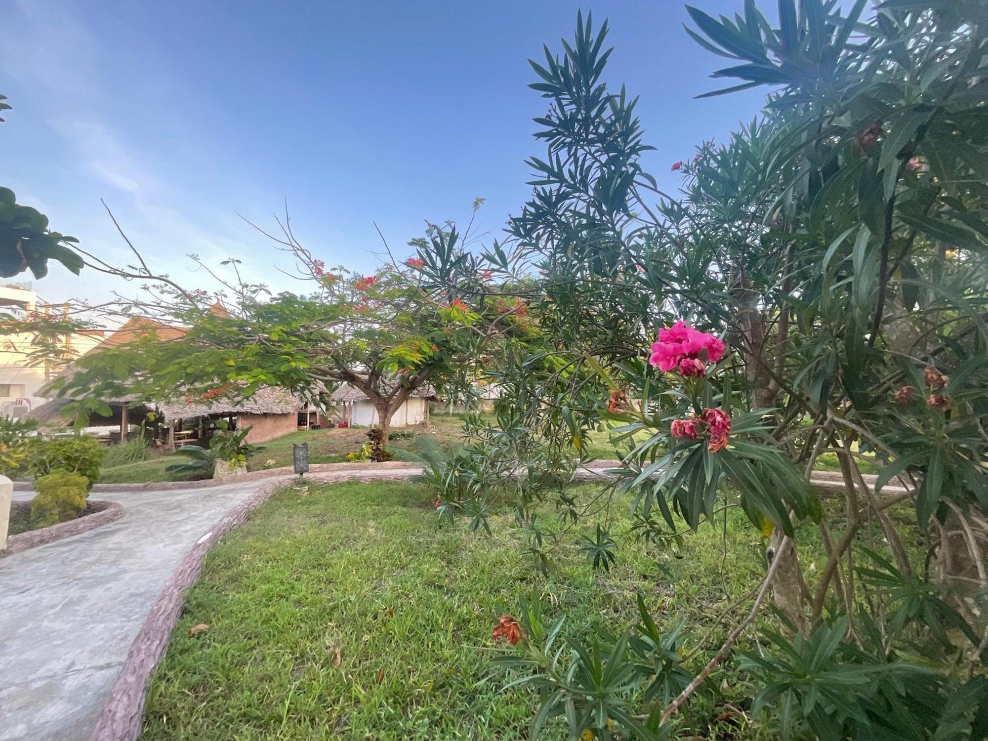 Zanzi Rest Bungalow Nungwi Exterior foto