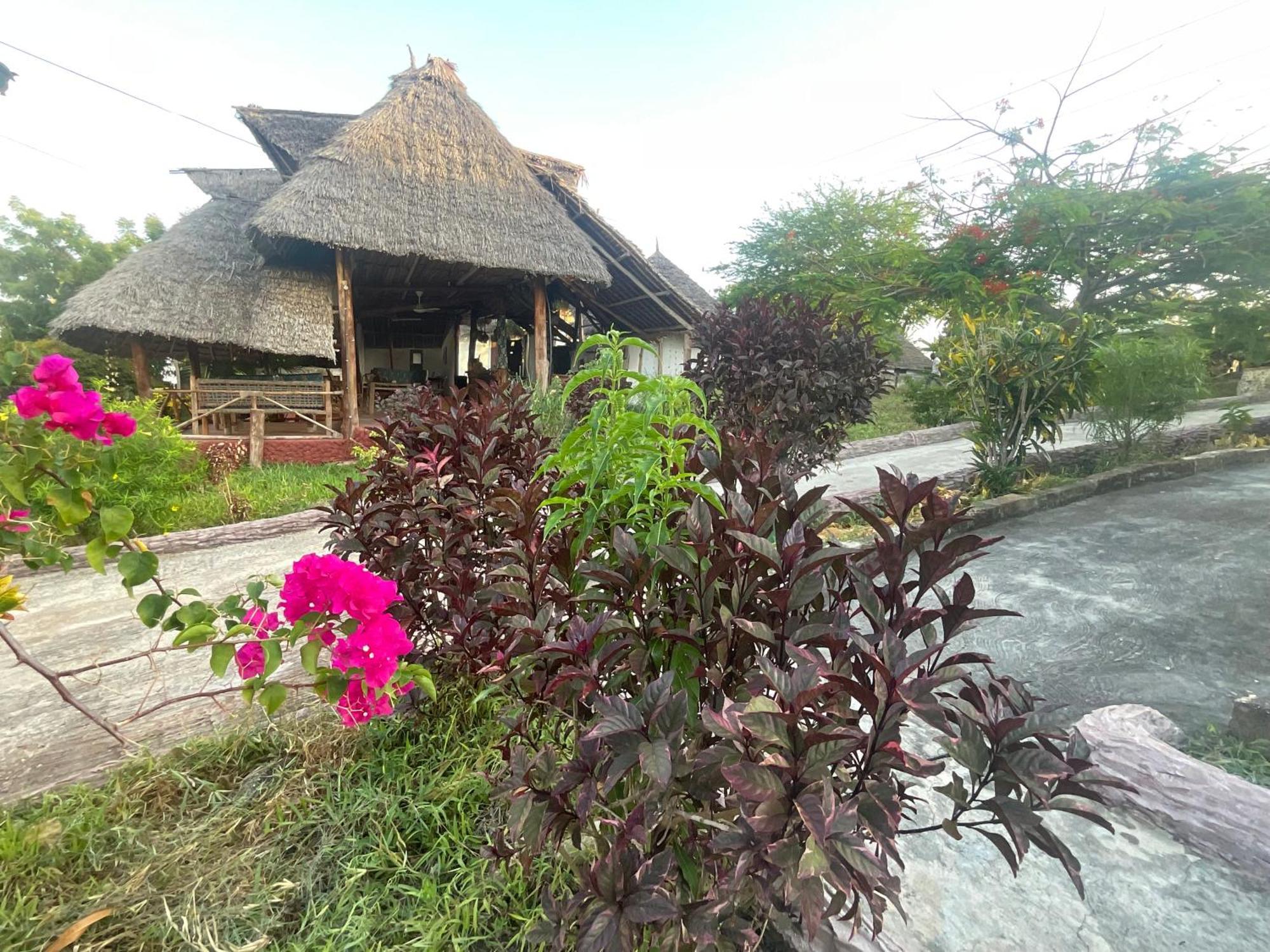 Zanzi Rest Bungalow Nungwi Exterior foto
